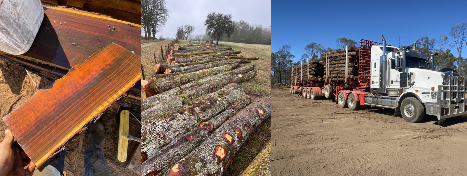 break bulk logs
