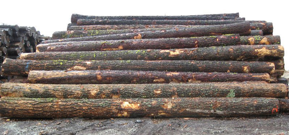 usa-douglas-fir-lumber-1