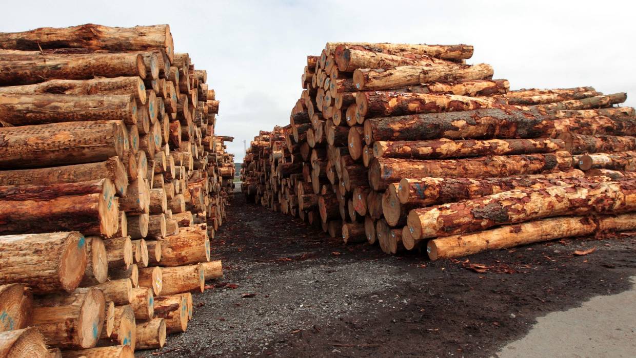 lumber-export