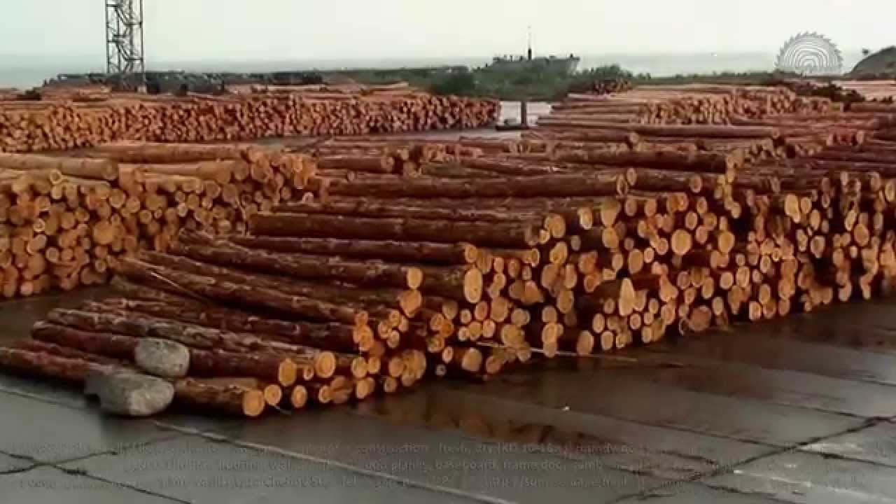 lumber-export