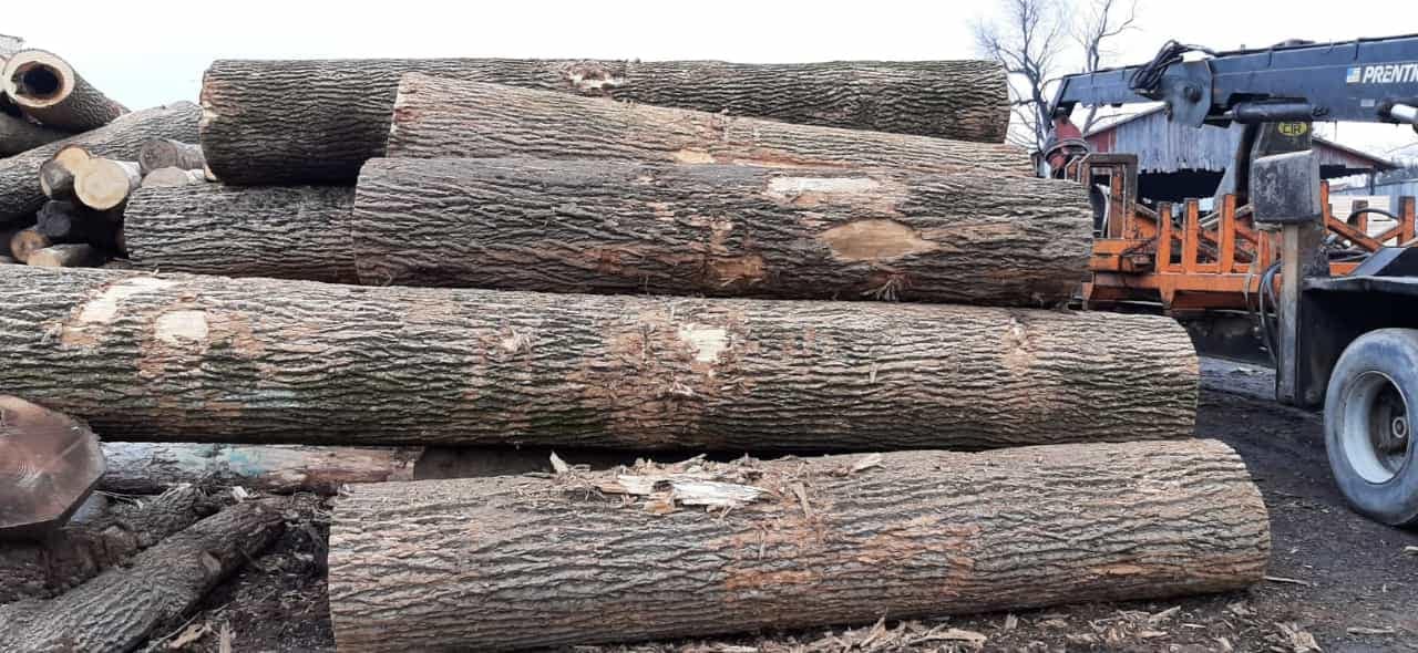 usa-douglas-fir-lumber-3